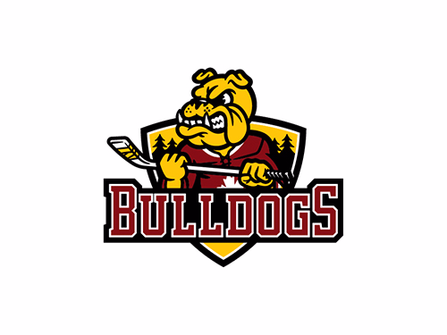 Image for Young Guns Camp